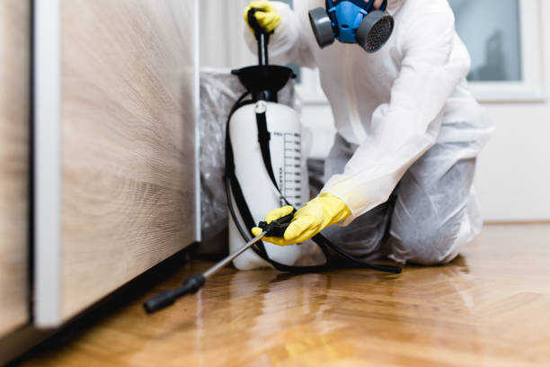 Best Mosquito Control Services  in Huron, SD