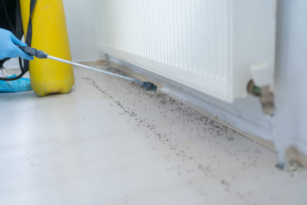 Pest Prevention Services in Huron, SD